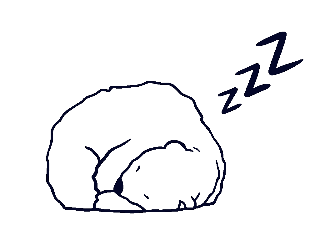 Schlafender Bär Schlafender Bär
