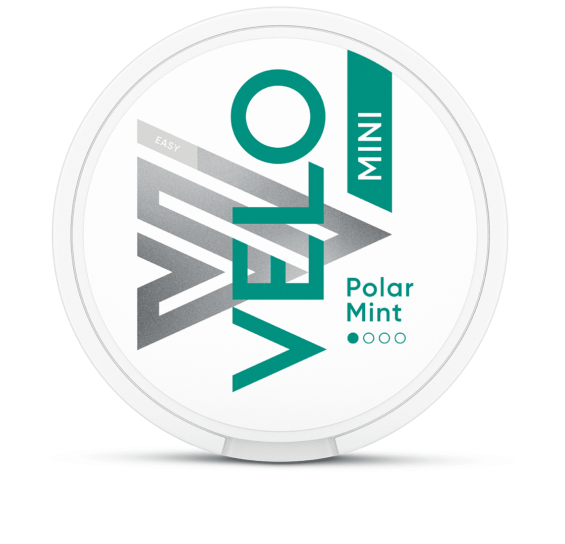 Logo VELO Autokino Partner VELO